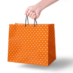 Paper Bag Wholesale Suppliers