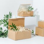 Right Biodegradable Box